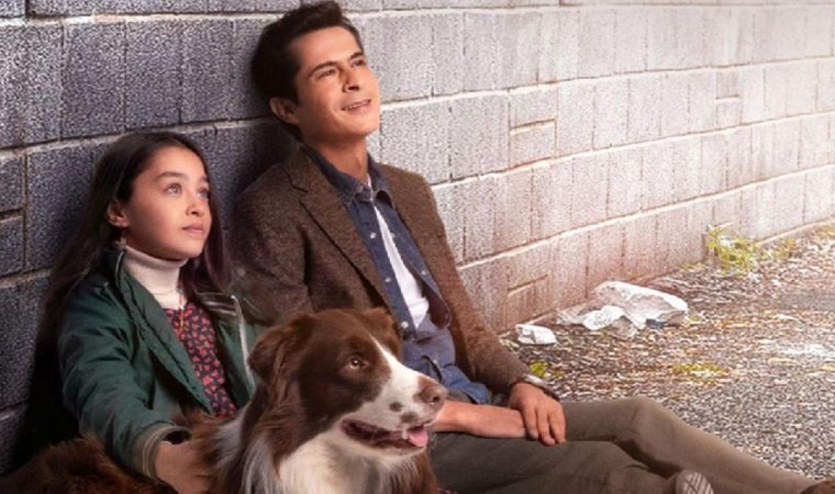 شاهد مسلسل اميرة بلا تاج الحلقة 12 مترجمة للعربية HD