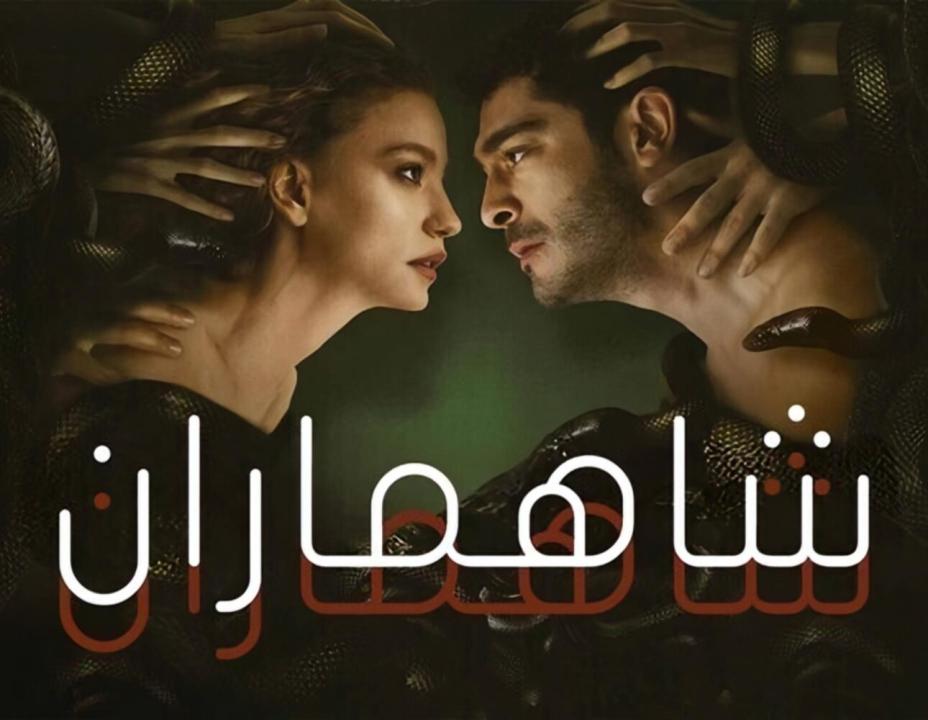 شاهد مسلسل فيولا الحلقة 4 مدبلجة